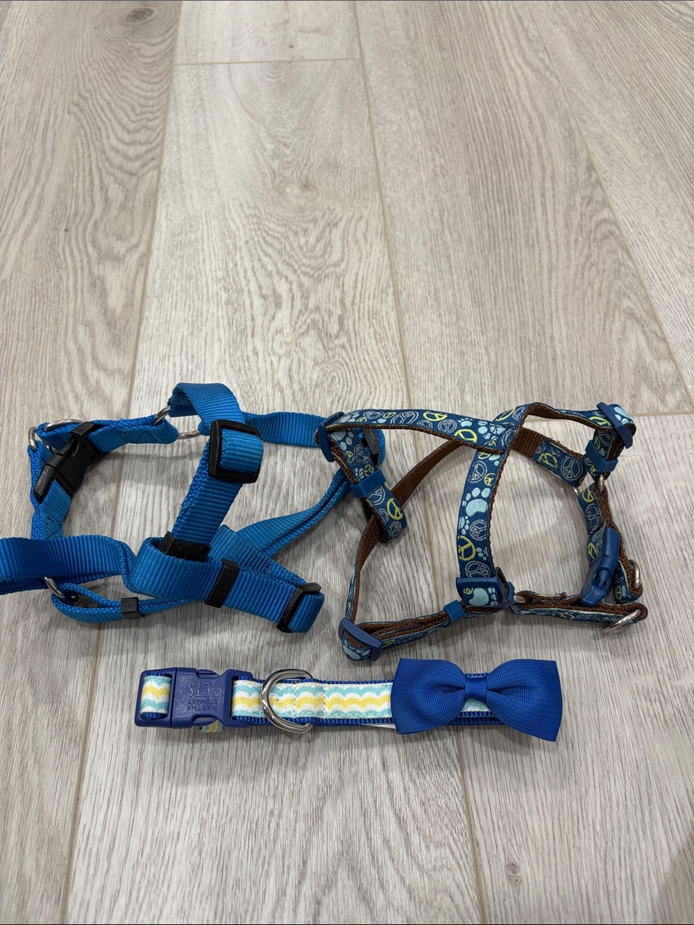 Blue dog  Adjustable Harness and Collar Set with Bow